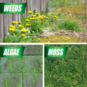 Kills weeds moss and algae not your lawn