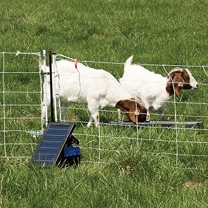 goat fence energizer premier
