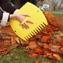 leaf scoops