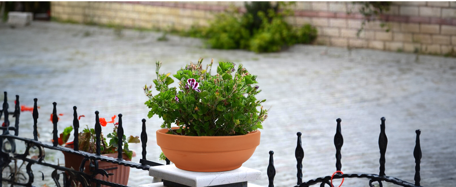 terracotta plant pots