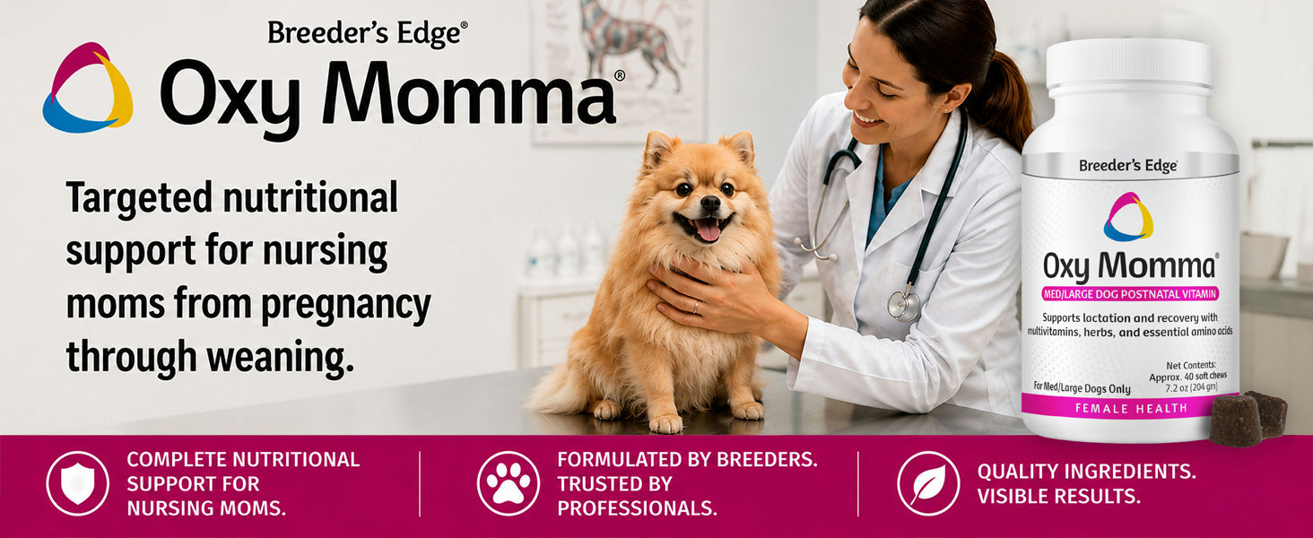Breeder’s Edge Oxy Momma veterinarian clinic banner featuring vet exam and postnatal supplement.