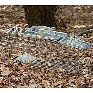 step by step trapping guide