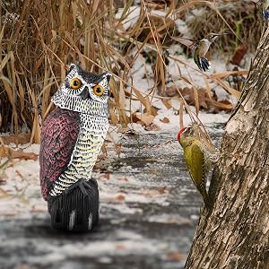 owl decoy