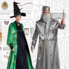 Adults in Harry potter Professor costumes