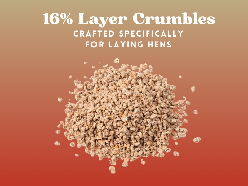 MANNA PRO LAYER CRUMBLES FOR LAYING POULTRY
