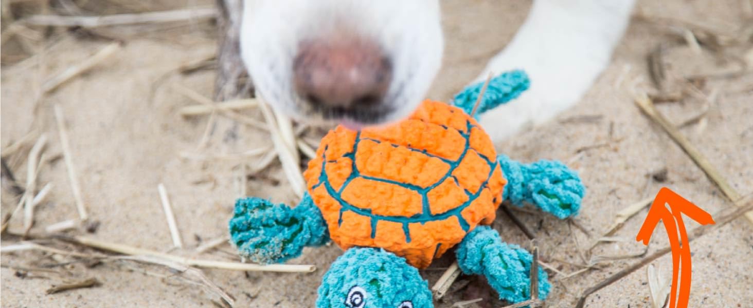 chewers indestructible super chewer puppies months carrot feeko silicone ring hard tough crate