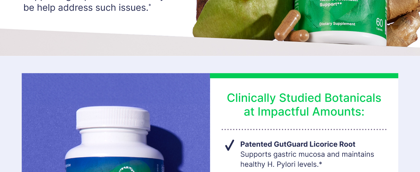 gut health supplements for men ginger extract digestion supplement gut health supplements