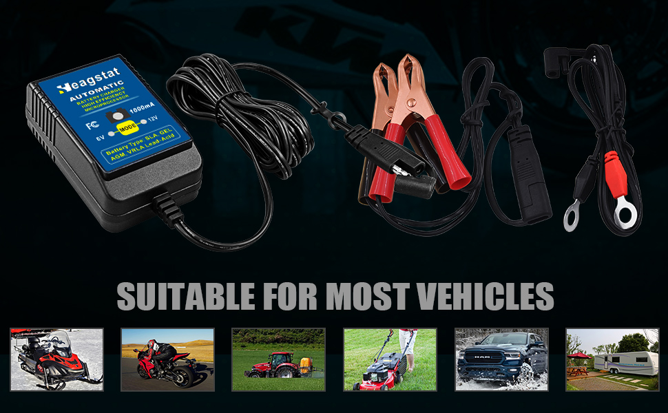 smart trickle charger