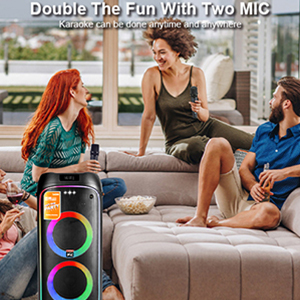 Double the fun with two microphones