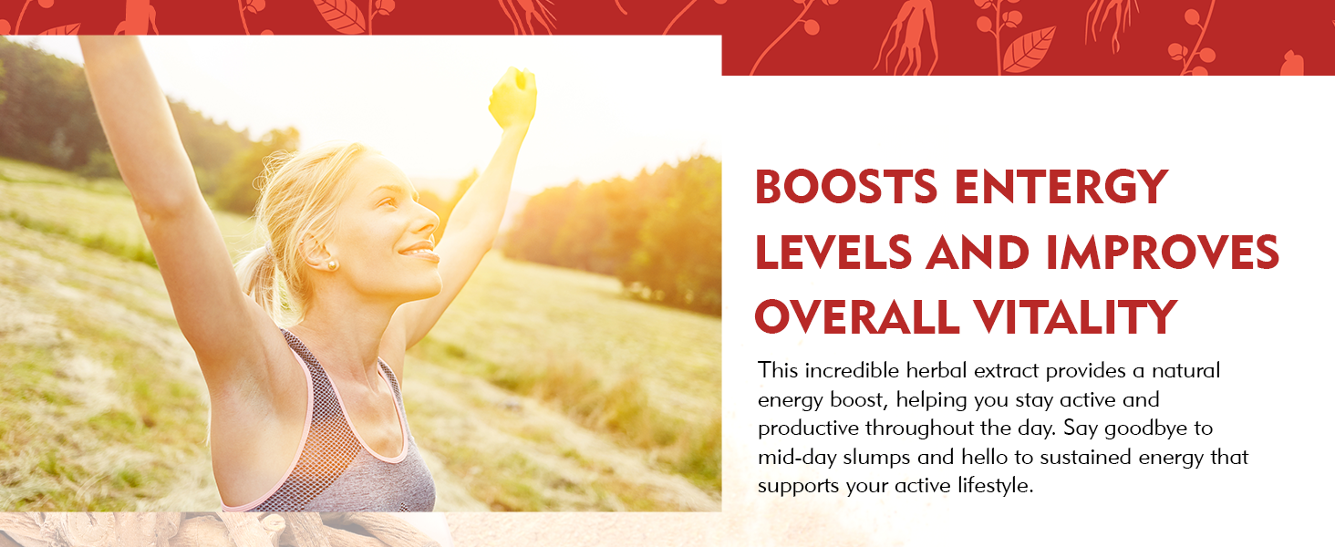 dailynutra ashwagandha capsules gummies dailynutra ashwagandha capsules gummies