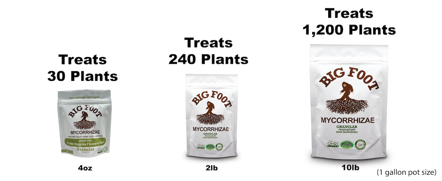 Mycorrhizal networks support plant health and nutrient efficiency.