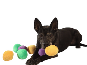 hide a ball puzzle