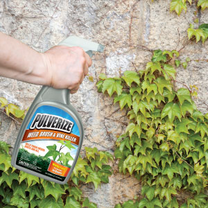 Pulverize Weed Brush Vine Killer in use