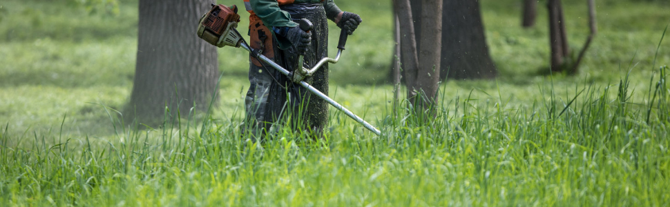 toro weed wacker head