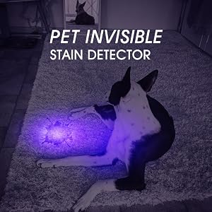 pet uv light torch