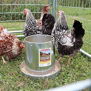 Double Wall Metal Poultry Fount