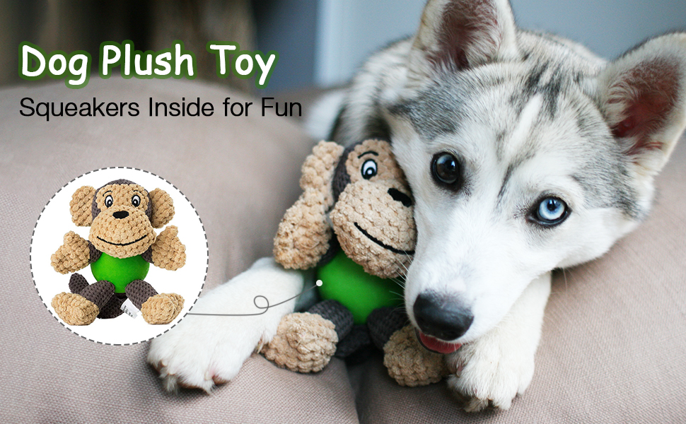 Dog Toy