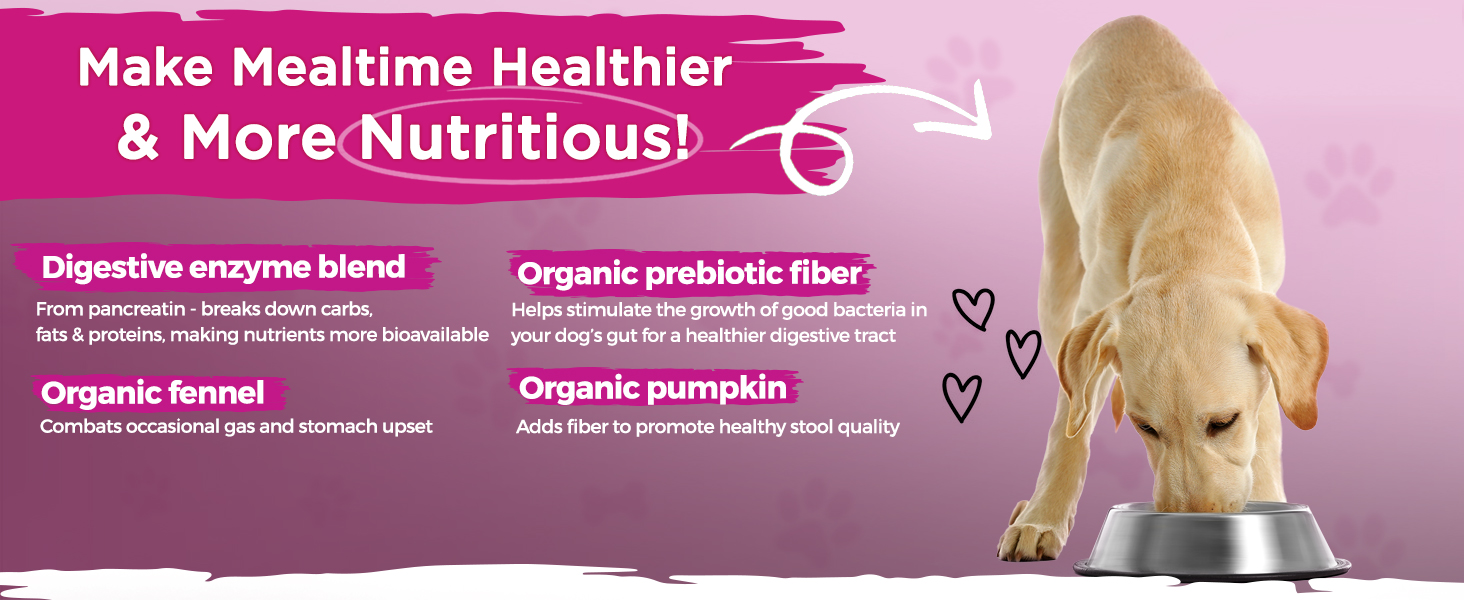 enzymes probiotics prebiotics fiber pumpkin fennel pancreatin digestion pancreas veterinarian