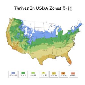 Growing Zones