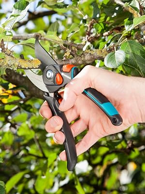 Pruners