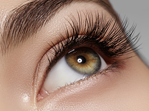 eyelash lash