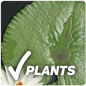 safe for plants