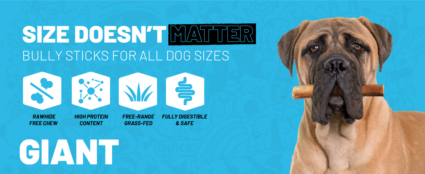 bully sticks for large dogs medium stick holder small best aggressive chewers dog toys natural farm
