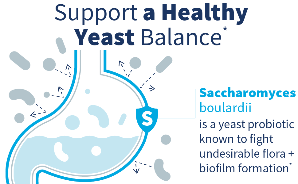 powerful shelf stable yeast probiotic