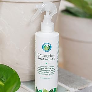plant cleaner