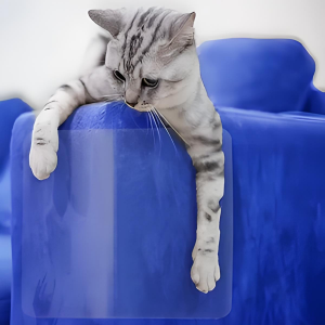 cat tape