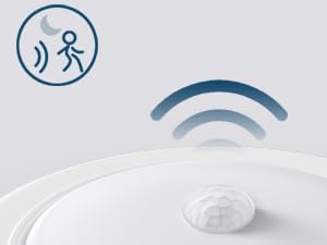 motion sensor light