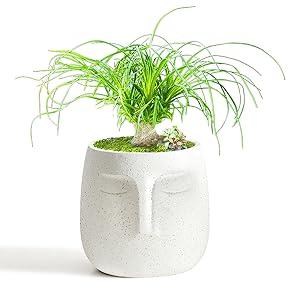 white head planter pot face plant vase