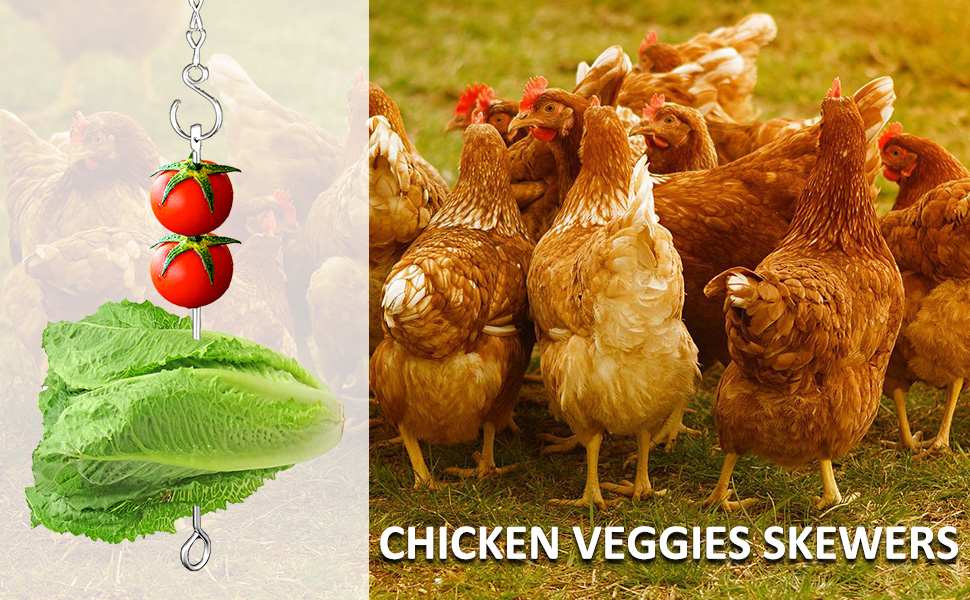 chicken feeder toys hanging veggies