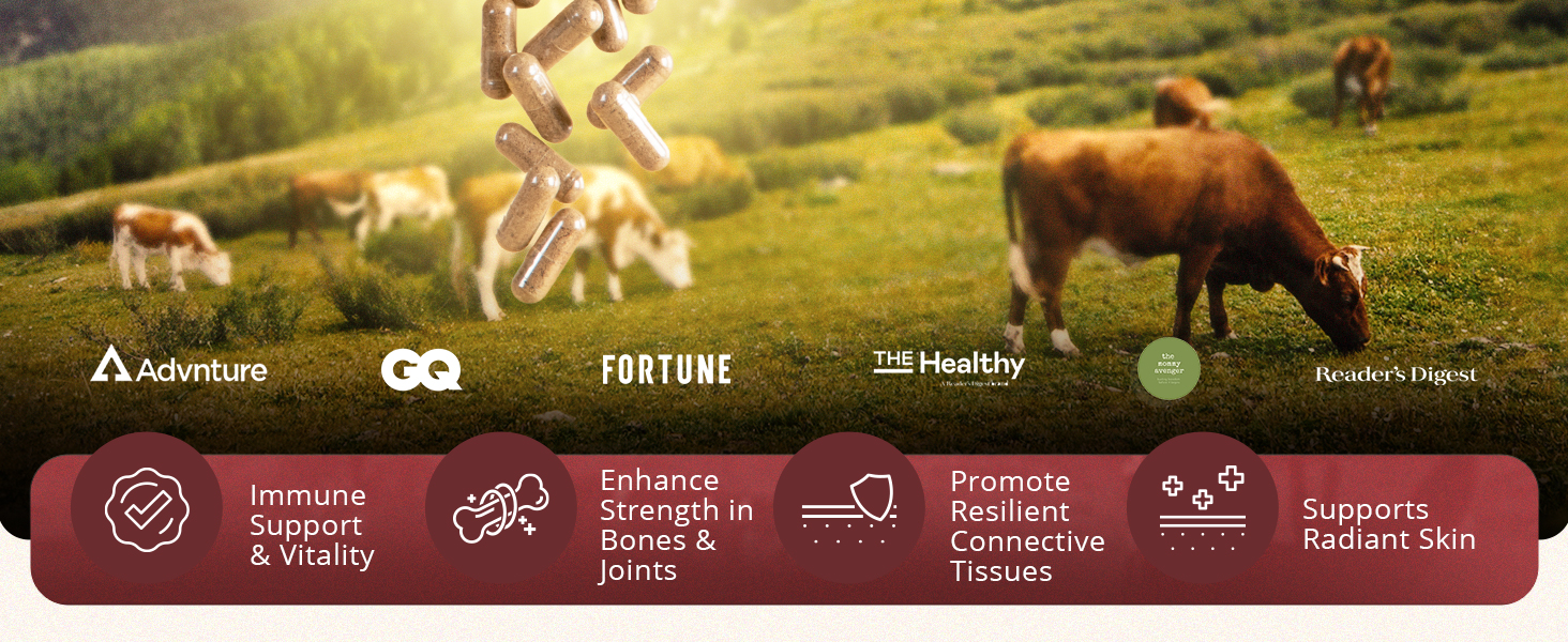 ancestral beef organs supplements for men natural iron supplement mineral super