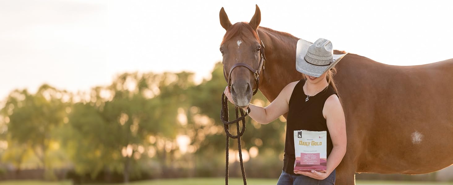 horse ulcer treatment, horse clay supplements, horse digestive supplement, horse ulcer supplement