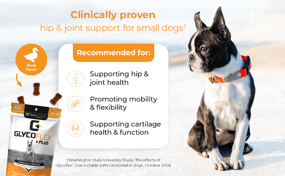 Glycoflex hip and joint supplement for dogs with glucosamine chondroitin msm and more