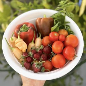 Earthworm castings for big harvests