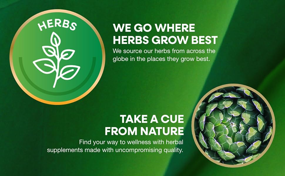 herbs banner that reads we go where herbs grow best and take a cue from nature