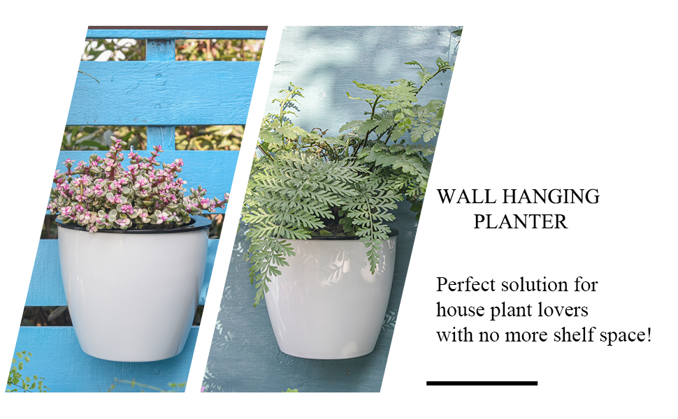 perfect for house plants