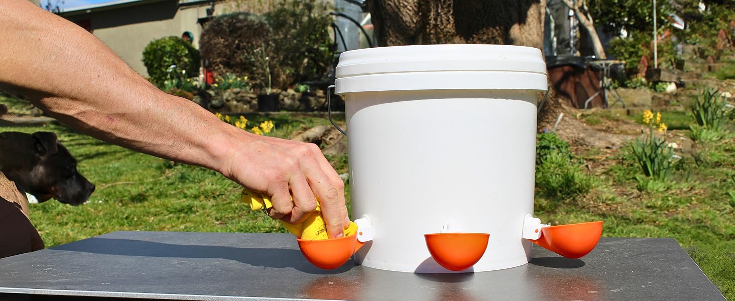 chicken water feeder, chicken waterer, chicken water cups