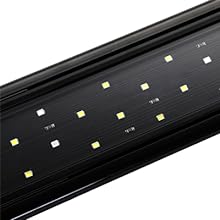 bright , energy efficient and Long lasting LEDs