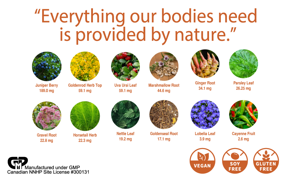 kidney herbs