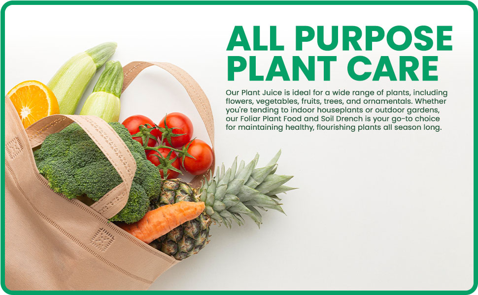 vitaminas foliage harvest petunia fertilizers acid liqua feed crepe spray compost tea apple cider