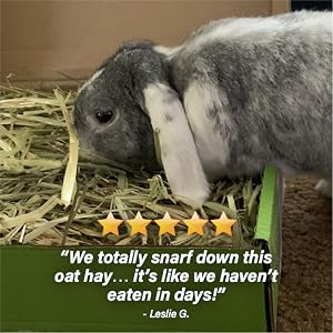 Five stars - love oat hay!