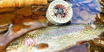 fly reels