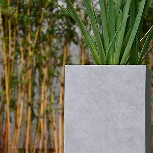 Create a serene atmosphere