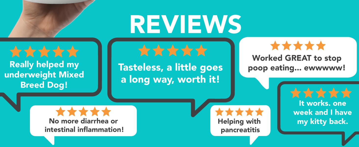 digestive enzymes for dogs reviews