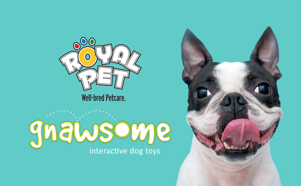 royal pet dog toy