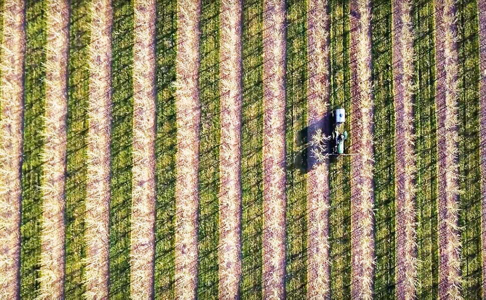 country spoon farm fresh