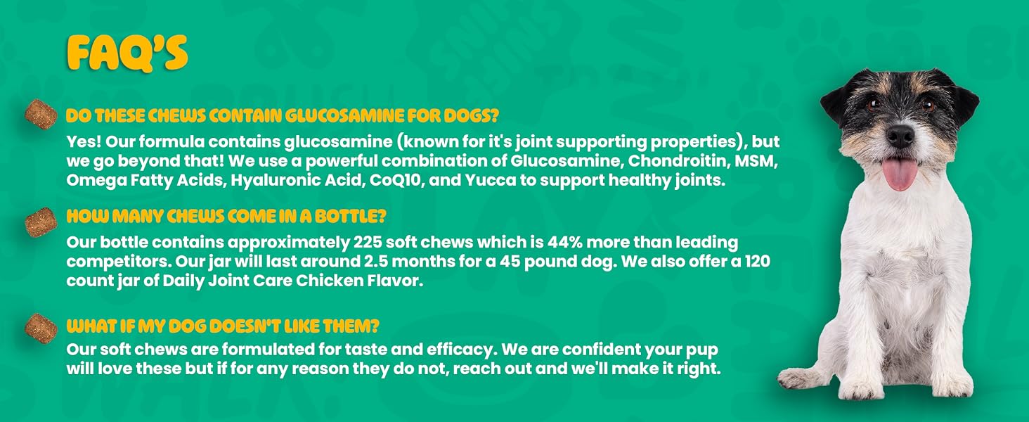 dog joint supplement, hip and joint support, glucosamine for dogs, dog chews, hip mobility